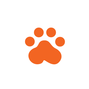 Animals & Pets